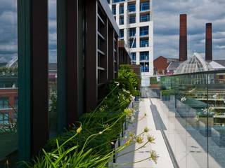 Chelsea Creek - copyright St George Plc Aralia Jardin moderne Verre roof terrace,rooftop garden,roof garden,garden design,landscape architecture,landscape architect,landscape design,garden designer,architecture