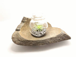 AIR PLANT Objekt mini Terrarium - kleiner Garten, KLAPPERGLAS KLAPPERGLAS Внутренний сад