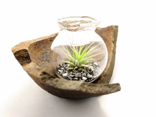 AIR PLANT Objekt mini Terrarium - kleiner Garten, KLAPPERGLAS KLAPPERGLAS Other spaces