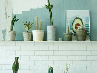 미니 가든, GARDEN STUDIO GARDEN STUDIO Modern Garden