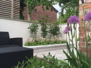 Bowden House, Aralia Aralia Minimalist style garden Bricks White