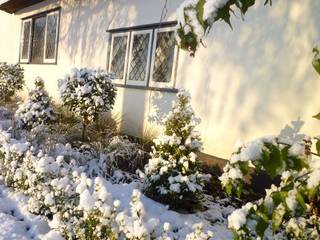 Clipped Hedge Cottage, Aralia Aralia Rustic style garden Wood White