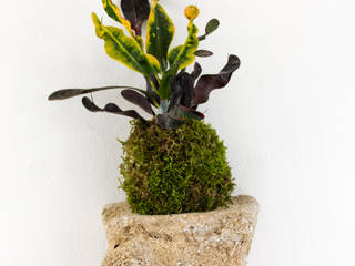 Wedding Plant - Mineral Suite, Julie Martin Julie Martin GardenAccessories & decoration