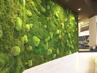 Jardin vertical planta preservada, arquigreen arquigreen Commercial spaces