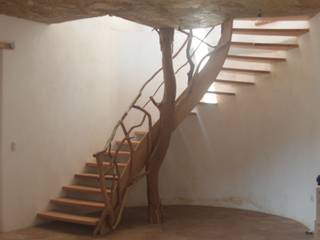 Escalera encino y guayabo, L atelier L atelier Modern corridor, hallway & stairs