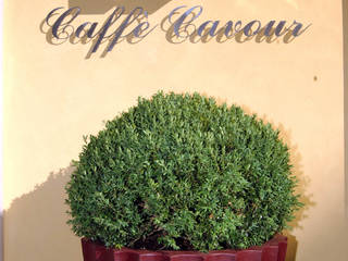 caffè Cavour Rimini, bilune studio bilune studio Gewerbeflächen