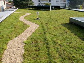 Cobertura ajardinada em Vila Nova de Gaia, Neoturf Neoturf Jardines modernos: Ideas, imágenes y decoración