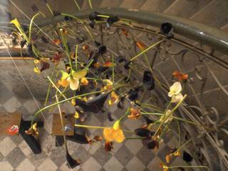 Ein Wind aus Calla, Blütenkind Blütenkind Commercial spaces