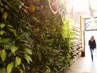 Loja Merrell * Chiado (Rua do Ouro nº277 - Lisboa), LC Vertical Gardens LC Vertical Gardens Commercial spaces