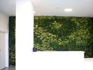 Paladin * Zona Industrial Lote 6 Golegã - Portugal, LC Vertical Gardens LC Vertical Gardens Commercial spaces