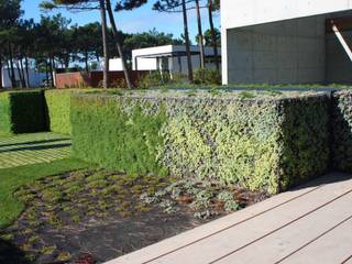 Moradia * Quinta da Marinha, LC Vertical Gardens LC Vertical Gardens Modern Garden