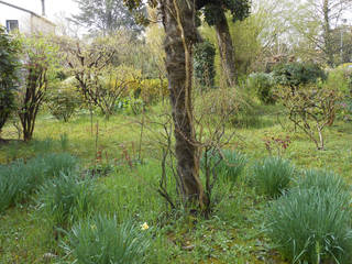 giardino all'Italiana, greenveronica greenveronica