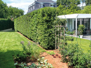 Villenhausgarten, BERND WALDVOGEL LANDSCHAFTSARCHITEKTUR BERND WALDVOGEL LANDSCHAFTSARCHITEKTUR Jardins modernos