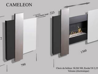 Cheminée éthanol Tableau "Caméléon", BIENVENUE CHEZ VOUS BIENVENUE CHEZ VOUS Pasillos, vestíbulos y escaleras de estilo moderno