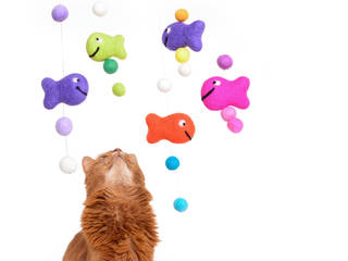 Katzenspielzeug Fang den Fisch, stylecats® stylecats® HouseholdPet accessories