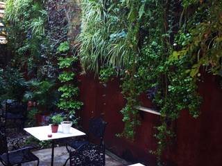 Interior de estudio, jardines verticales jardines verticales 庭院