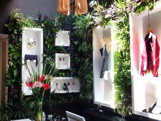 Interior de estudio, jardines verticales jardines verticales モダンな庭 植木＆花