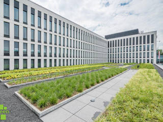 Dach zielony Hilton Garden Inn – Balice, Kraków, PL, IGREEN Architektura Krajobrazu i Miejskie Formy IGREEN Architektura Krajobrazu i Miejskie Formy