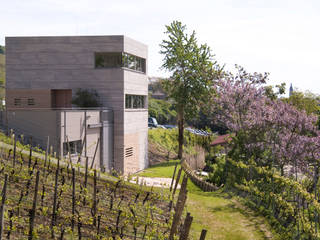 Weingut Am Stein, Hofmann Keicher Ring Architekten Hofmann Keicher Ring Architekten Commercial spaces