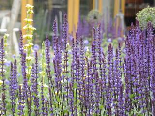 Chiswick town garden, Arthur Road Landscapes Arthur Road Landscapes Jardins modernos