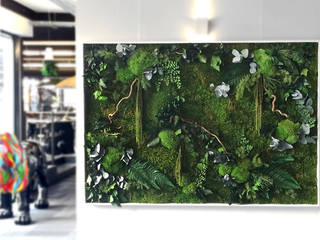 Murs et tableaux végétaux, Adventive Adventive 상업공간 녹색 사무실 공간 & 가게