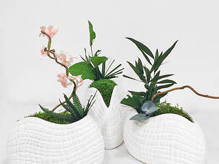 Design végétal, Adventive Adventive Salas de estar ecléticas Fibra natural Branco