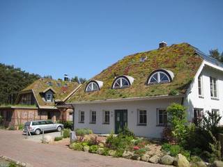 Gründächer - Dachbegrünungen, Natur & Heim GmbH Natur & Heim GmbH Rumah Gaya Skandinavia