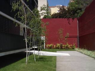 Condominio Lapa Lisboa, Estudio Marta Byrne Paisajismo Estudio Marta Byrne Paisajismo Jardines de estilo moderno