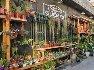 Vivero Güemes, vivero guemes vivero guemes พื้นที่เชิงพาณิชย์