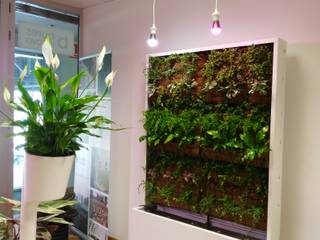 Oficina/showroom de Mercabarna Flor, BURESINNOVA S.A. BURESINNOVA S.A. 商业空间 木頭 Wood effect