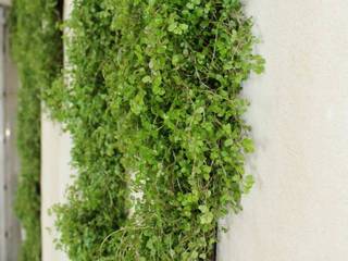 Muro verde en Café GETXO, SOiL arquitectura del paisaje SOiL arquitectura del paisaje Espacios comerciales