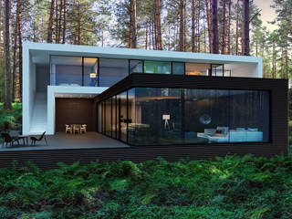 Дом под Киевом, ALEXANDER ZHIDKOV ARCHITECT ALEXANDER ZHIDKOV ARCHITECT Minimalist house