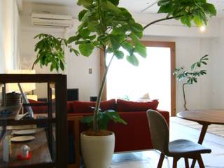 Apartment in Amizima, Mimasis Design／ミメイシス デザイン Mimasis Design／ミメイシス デザイン Moderne Wohnzimmer Weiß