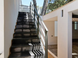 Casa La Lagartija, alexandro velázquez alexandro velázquez モダンスタイルの 玄関&廊下&階段