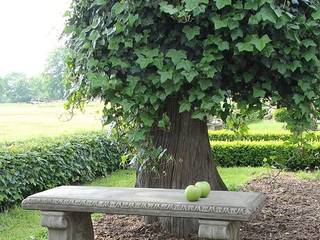 Stein Pflanzgefäß Amphore Schale Steinguß Vase Steinurne L603B 62cm Sandstein, S+H S+H Jardines de estilo clásico Arenisca