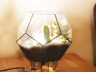 Terrarium Lighting Pil Tasarım Mimarlik + Peyzaj Mimarligi + Ic Mimarlik حديقة زجاج Plants & accessories