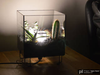 Terrarium Lighting Pil Tasarım Mimarlik + Peyzaj Mimarligi + Ic Mimarlik حديقة زجاج Plants & flowers