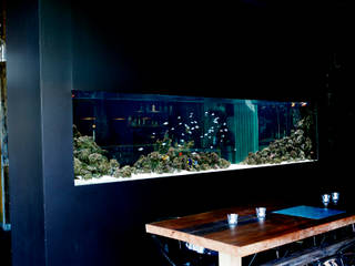 ADn saltwater aquarium at restaurant Lazuli - Estórias do Mar, Lisboa, ADn Aquarium Design ADn Aquarium Design Commercial spaces