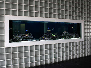 ADn Saltwater aquarium at a private school, ADn Aquarium Design ADn Aquarium Design Modern Houses