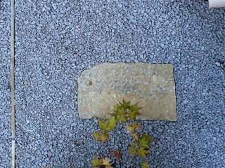 Patio inglés de oficina, SOiL arquitectura del paisaje SOiL arquitectura del paisaje Jardins minimalistas Pedra