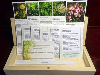 Wilde Duftpflanzen (Saatgut-Box), Naturgarten-Samen aus Leipzig Naturgarten-Samen aus Leipzig Garten im Landhausstil