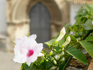 Terrazas, SEMBRADAS SEMBRADAS Giardino classico