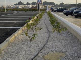 ALDI SUPERMERCADOS, SEMBRADAS SEMBRADAS