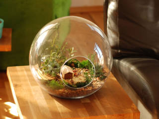 TERRARIUM, Pil Tasarım Mimarlik + Peyzaj Mimarligi + Ic Mimarlik Pil Tasarım Mimarlik + Peyzaj Mimarligi + Ic Mimarlik 露臺 玻璃