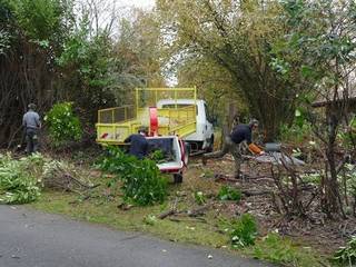 Elagage Macon , Lovisa elagage Mâcon (Saône et loire) 71 Lovisa elagage Mâcon (Saône et loire) 71 สวน