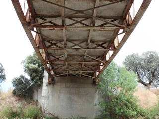 Restauración del puente de Malpartida, Sibarkia Sibarkia