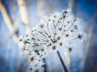 Inspiration, GARDOMAT - Die Gartenideenmacher GARDOMAT - Die Gartenideenmacher Scandinavian style garden