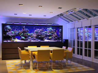 Luxury Townhouse Aquarium, Aquarium Architecture Aquarium Architecture Moderne Esszimmer