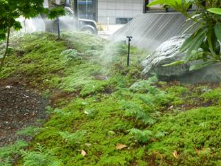 苔庭, 庭園空間ラボ teienkuukan Labo 庭園空間ラボ teienkuukan Labo Giardino in stile asiatico