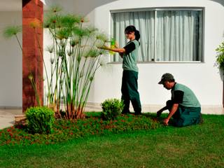 Manutenção e nutrição de jardim residencial, Ecojardim Ecojardim Jardins tropicais